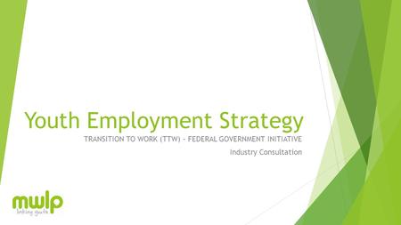 Youth Employment Strategy TRANSITION TO WORK (TTW) – FEDERAL GOVERNMENT INITIATIVE Industry Consultation.