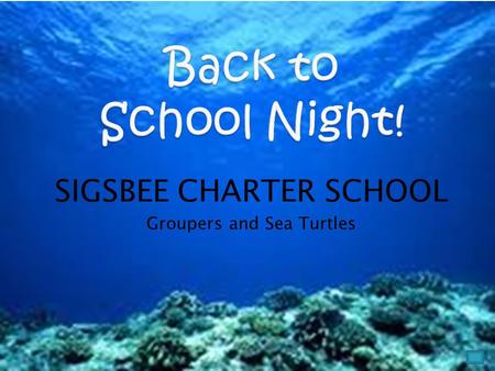 SIGSBEE CHARTER SCHOOL Groupers and Sea Turtles. Ms. Wissmann- Sea Turtles Attended the university of South FL Certified 5 th -9 th grade Literacy Master’s.