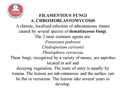 FILAMENTOUS FUNGI A. CHROMOBLASTOMYCOSIS A chronic, localized infection of subcutaneous tissues caused by several species of dematiaceous fungi. The 3.