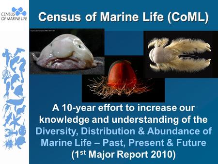 Census of Marine Life (CoML) A 10-year effort to increase our knowledge and understanding of the Diversity, Distribution & Abundance of Marine Life – Past,