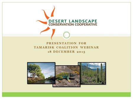 PRESENTATION FOR TAMARISK COALITION WEBINAR 18 DECEMBER 2013.