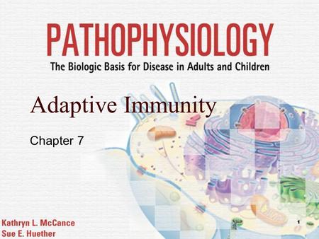 1 Adaptive Immunity Chapter 7. Mosby items and derived items © 2006 by Mosby, Inc. 2 Adaptive Immunity  Antigens  Specificity  Memory  Antibodies.