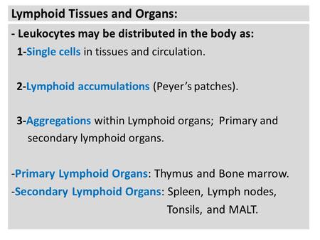 Lymphoid Tissues and Organs: - Leukocytes may be distributed in the body as: 1-Single cells in tissues and circulation. 2-Lymphoid accumulations (Peyer’s.