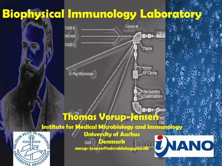 Biophysical Immunology Laboratory Thomas Vorup-Jensen Institute for Medical Microbiology and Immunology University of Aarhus Denmark