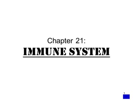 1 Chapter 21: Immune System. 2 INTRODUCTION The immune system protects against assaults on the body –External assaults include microorganisms: protozoans,