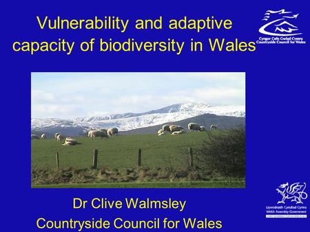 Vulnerability and adaptive capacity of biodiversity in Wales Dr Clive Walmsley Countryside Council for Wales.