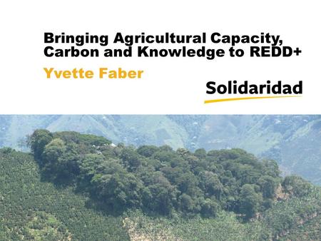 Bringing Agricultural Capacity, Carbon and Knowledge to REDD+ 1 Yvette Faber.