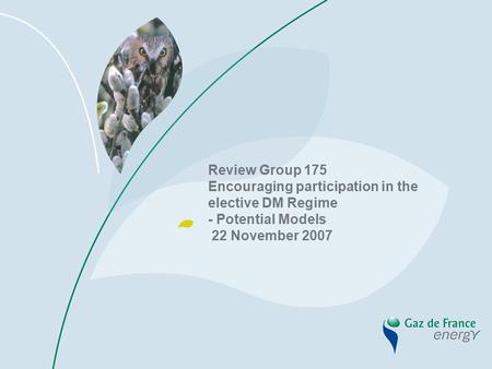 Review Group 175 Encouraging participation in the elective DM Regime - Potential Models 22 November 2007.