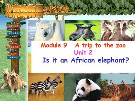 Module 9 A trip to the zoo Unit 2 Is it an African elephant?