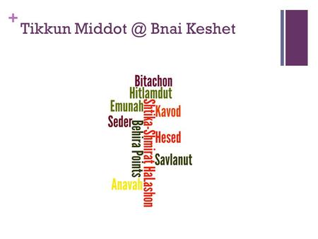 + Tikkun Bnai Keshet. + Seder: 5774 Application and Program constructed with lay leaders First Vaad Was By Invitation: Interested Seekers & Representing.