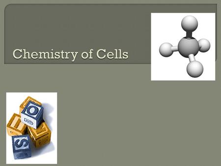  All of life is built on carbon  Cells ~72% H 2 O ~25% carbon compounds  carbohydrates  lipids  proteins  nucleic acids ~3% salts  Na, Cl, K…