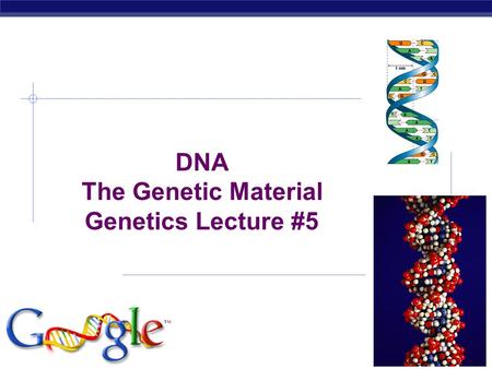 AP Biology 2006-2007 DNA The Genetic Material Genetics Lecture #5.