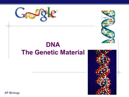 AP Biology DNA The Genetic Material AP Biology Scientific History  The march to understanding that DNA is the genetic material  T.H. Morgan (1908)