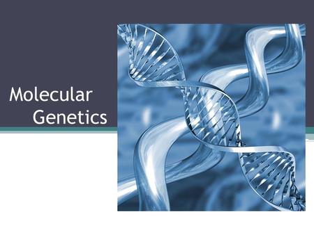 Molecular Genetics. What is this stuff? Simply: DNA contains the instructions for making proteins in a cell DNA = Deoxyribonucleic Acid The genetic/hereditary.