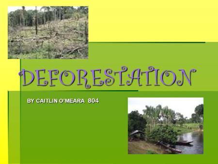 DEFORESTATION BY CAITLIN O’MEARA 804 INTRODUCTIONINTRODUCTIONINTRODUCTIONINTRODUCTION The clearing of tropical forests across the Earth has been happening.