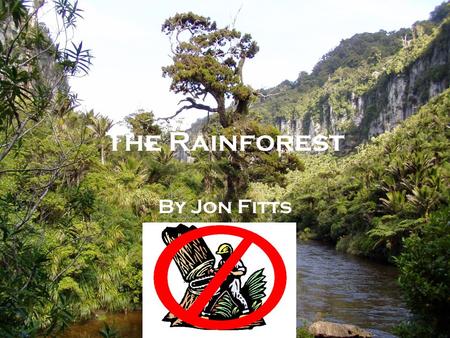 The Rainforest By Jon Fitts. The Disappearing Rainforest We are losing Earth's greatest treasures just as we are beginning to appreciate their true value.