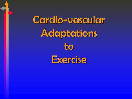 Cardio-vascular Adaptations to Exercise. THE HEART Cardiac Hypertrophy – increases: size of heart efficiency, especially at rest thickness of myocardium.