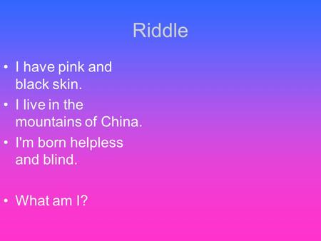 Riddle I have pink and black skin. I live in the mountains of China. I'm born helpless and blind. What am I?