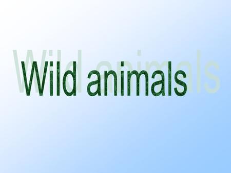 Preview Read the new words and the whole passage. 2.Guess what animal it is and guess the meanings2.Guess what animal it is and guess the meanings.