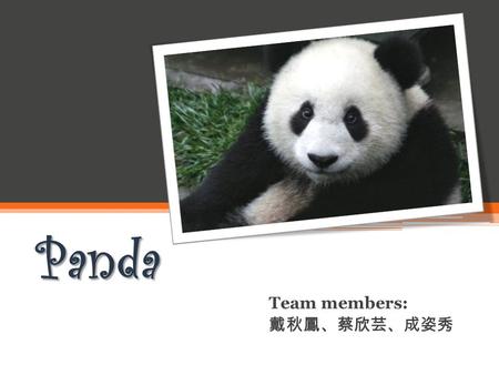 Panda Team members: 戴秋鳳、蔡欣芸、成姿秀. Sichuan This is my home town This is my home town.