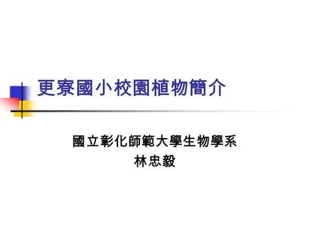 更寮國小校園植物簡介 國立彰化師範大學生物學系 林忠毅. 更寮國小校園植物導覽 校門口的植物 教室周遭的植物 操場附近的植物.