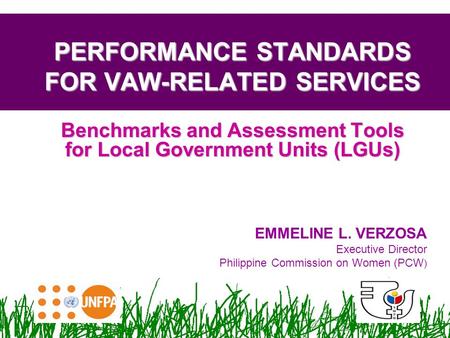 1 Benchmarks and Assessment Tools for Local Government Units (LGUs) PERFORMANCE STANDARDS FOR VAW-RELATED SERVICES EMMELINE L. VERZOSA Executive Director.