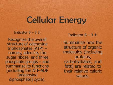 Key Concepts  ATP structure  ATP – ADP cycle  Caloric Values.