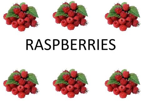 RASPBERRIES. Russia 125,00027%140,00026% Poland 92,86420%117,99522% Serbia 83,87018%89,60216% United StatesUnited States 36,7418%48,9489% Ukraine 25,7005%28,1005%