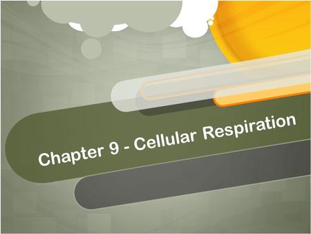 Chapter 9 - Cellular Respiration