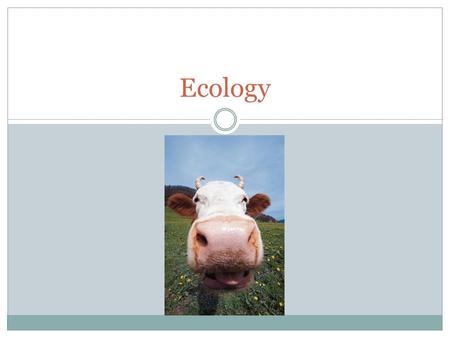 Ecology.