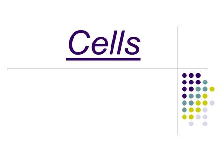 Cells. Discovery of Cells 1665: Robert Hooke: looking at cork under crude microscope.