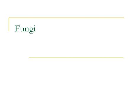 Fungi. Characteristics Multicellular (few exceptions like yeast) Eukaryotic Heterotrophic, break down food then absorb, saprotrophic Some are parasitic,