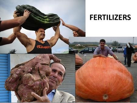 Fertilizers FERTILIZERS. What are fertilizers Fertilizer: A substance added to soil to supply one or more plant nutrients needed for the growth of the.