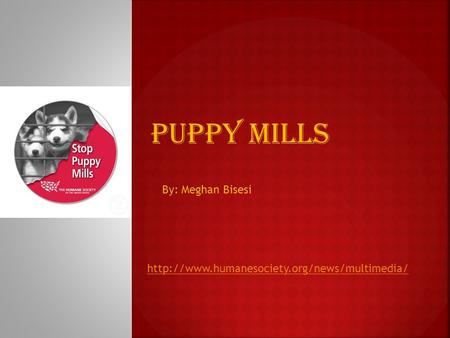 Puppy Mills By: Meghan Bisesi