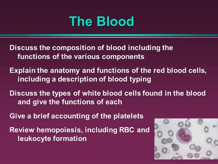 The Blood Discuss the composition of blood including the functions of the various components Explain the anatomy and functions of the red blood cells,