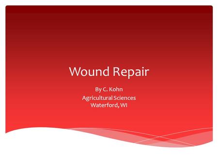 Wound Repair By C. Kohn Agricultural Sciences Waterford, WI.