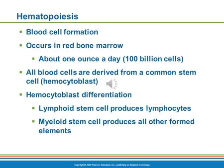 Copyright © 2009 Pearson Education, Inc., publishing as Benjamin Cummings Hematopoiesis  Blood cell formation  Occurs in red bone marrow  About one.