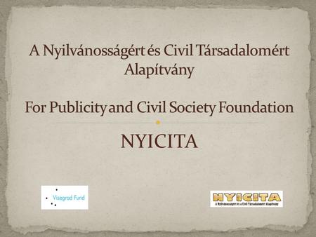 NYICITA. Founded by Founders in 2000 Controlled by Board of trustees (4 person) Working with volunteers only, have no paid staff Member of Trainer’s.