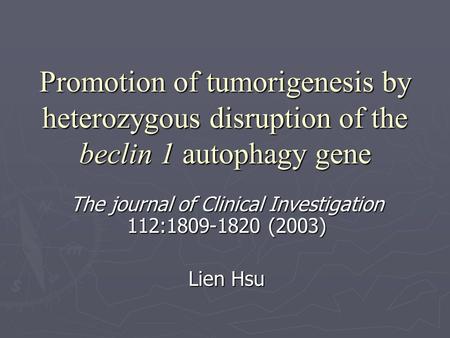 Promotion of tumorigenesis by heterozygous disruption of the beclin 1 autophagy gene The journal of Clinical Investigation 112:1809-1820 (2003) Lien Hsu.