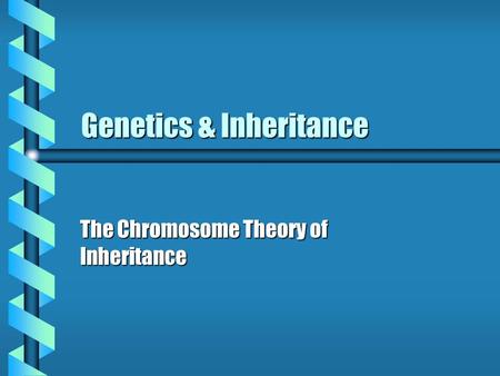 Genetics & Inheritance Genetics & Inheritance The Chromosome Theory of Inheritance.