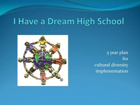 5 year plan for cultural diversity implementation.