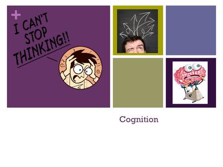 + Cognition. + Cognition: Thinking All the mental activities associated with thinking, knowing, remembering, and communicating.