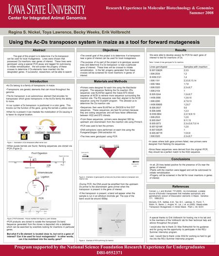 Center for Integrated Animal Genomics Research Experience in Molecular Biotechnology & Genomics Summer 2008 Regina S. Nickel, Toya Lawrence, Becky Weeks,