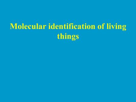 Molecular identification of living things. Molecular Markers Single locus marker Multi-locus marker RFLP Microsatellite DNA Fingerprinting AFLP RAPD.