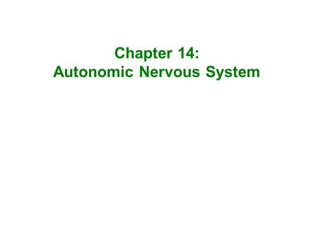 Autonomic Nervous System