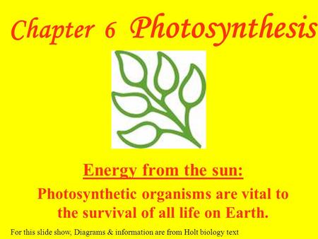 Chapter 6 Photosynthesis