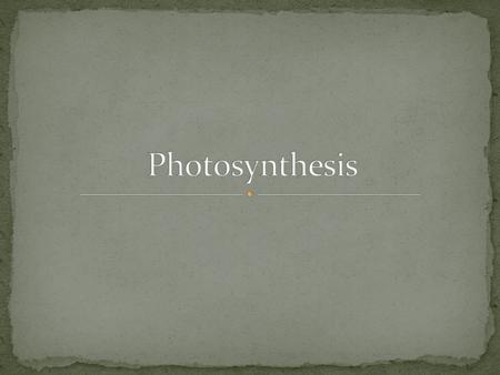 Photosynthesis.