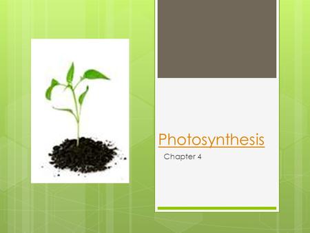 Photosynthesis Chapter 4. Where does all of our energy come from?