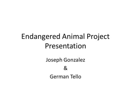 Endangered Animal Project Presentation