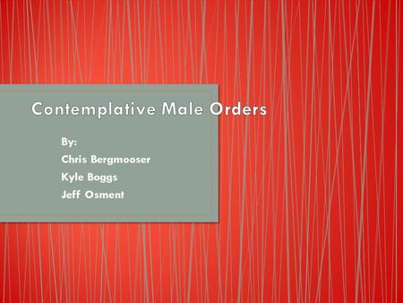 By: Chris Bergmooser Kyle Boggs Jeff Osment. an institutionalized religious practice or movement whose members live by a rule that requires works that.